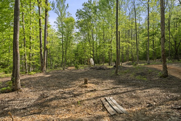 1240 Tanner Hollow Road Centerville, TN 37033 - Photo 15 of 23 a view of a forest with trees
