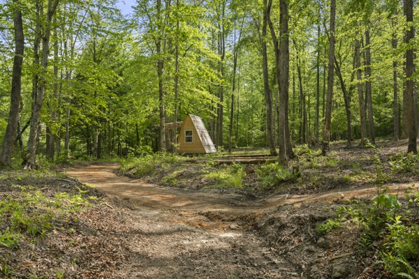 1240 Tanner Hollow Road Centerville, TN 37033 - Photo 16 of 23 a view of outdoor space with trees