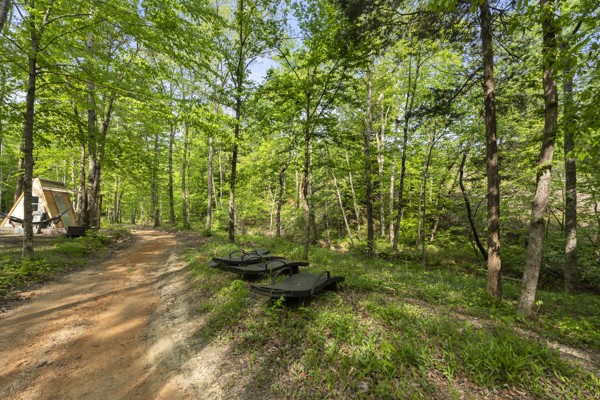 1240 Tanner Hollow Road Centerville, TN 37033 - Photo 18 of 23 a backyard of a house with lots of green space