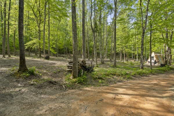 1240 Tanner Hollow Road Centerville, TN 37033 - Photo 19 of 23 a view of outdoor space with deck and tree