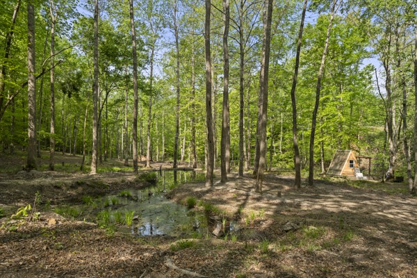 1240 Tanner Hollow Road Centerville, TN 37033 - Photo 20 of 23 a view of outdoor space with trees