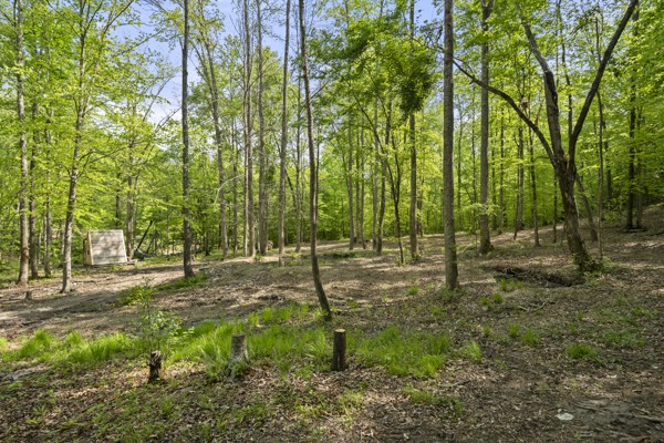 1240 Tanner Hollow Road Centerville, TN 37033 - Photo 21 of 23 a view of a tree in a yard
