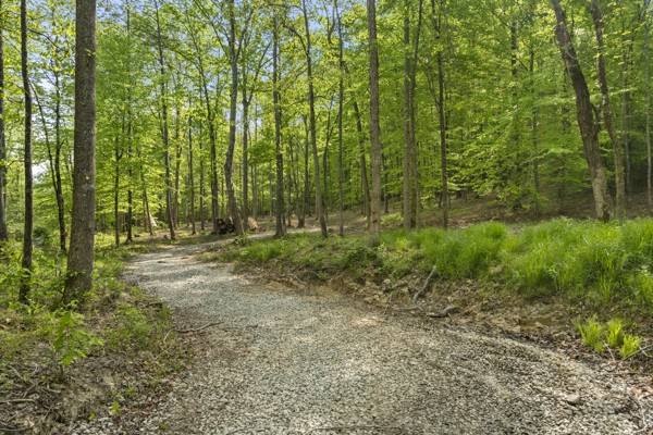 1240 Tanner Hollow Road Centerville, TN 37033 - Photo 4 of 23 a view of outdoor space and garden