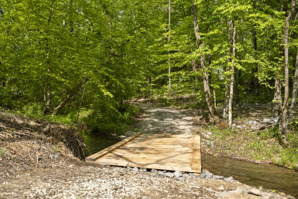 1240 Tanner Hollow Road Centerville, TN 37033 - Photo 6 of 23 a view of a backyard of the house