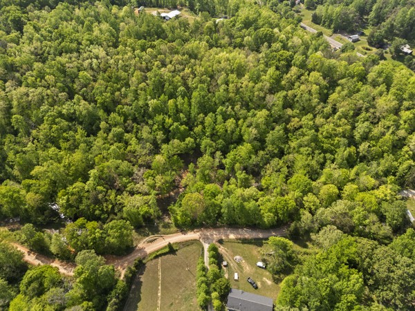 1240 Tanner Hollow Road Centerville, TN 37033 - Photo 8 of 23 a view of a yard with plants and tree