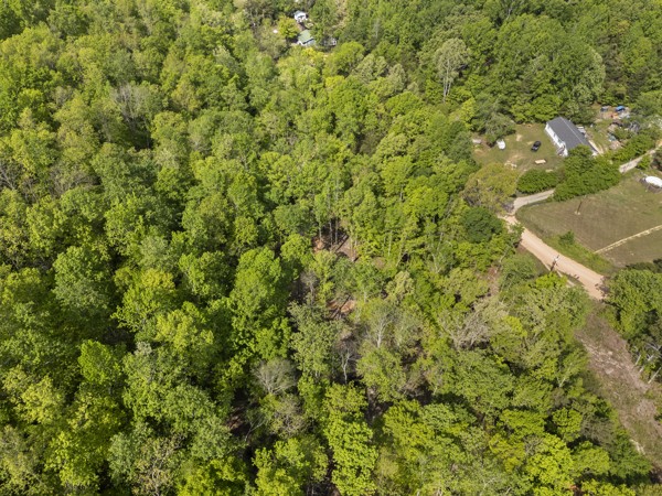 1240 Tanner Hollow Road Centerville, TN 37033 - Photo 10 of 23 a view of a yard with a tree