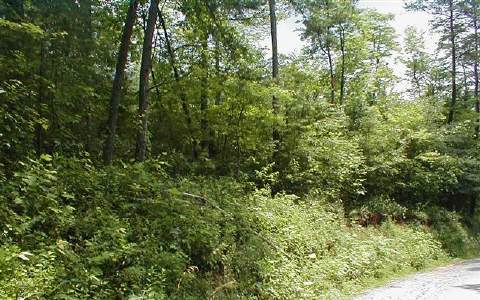 6 Bullen Gap Road Blue Ridge, GA 30513 - Photo 1 of 1 Main View