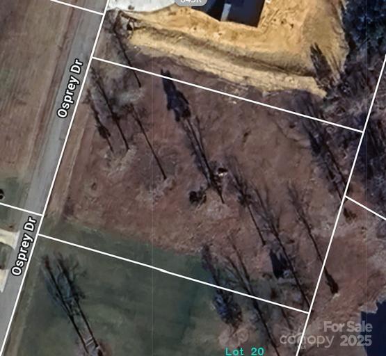 5319 Osprey Drive Mebane, NC 27302 - Photo 3 of 5