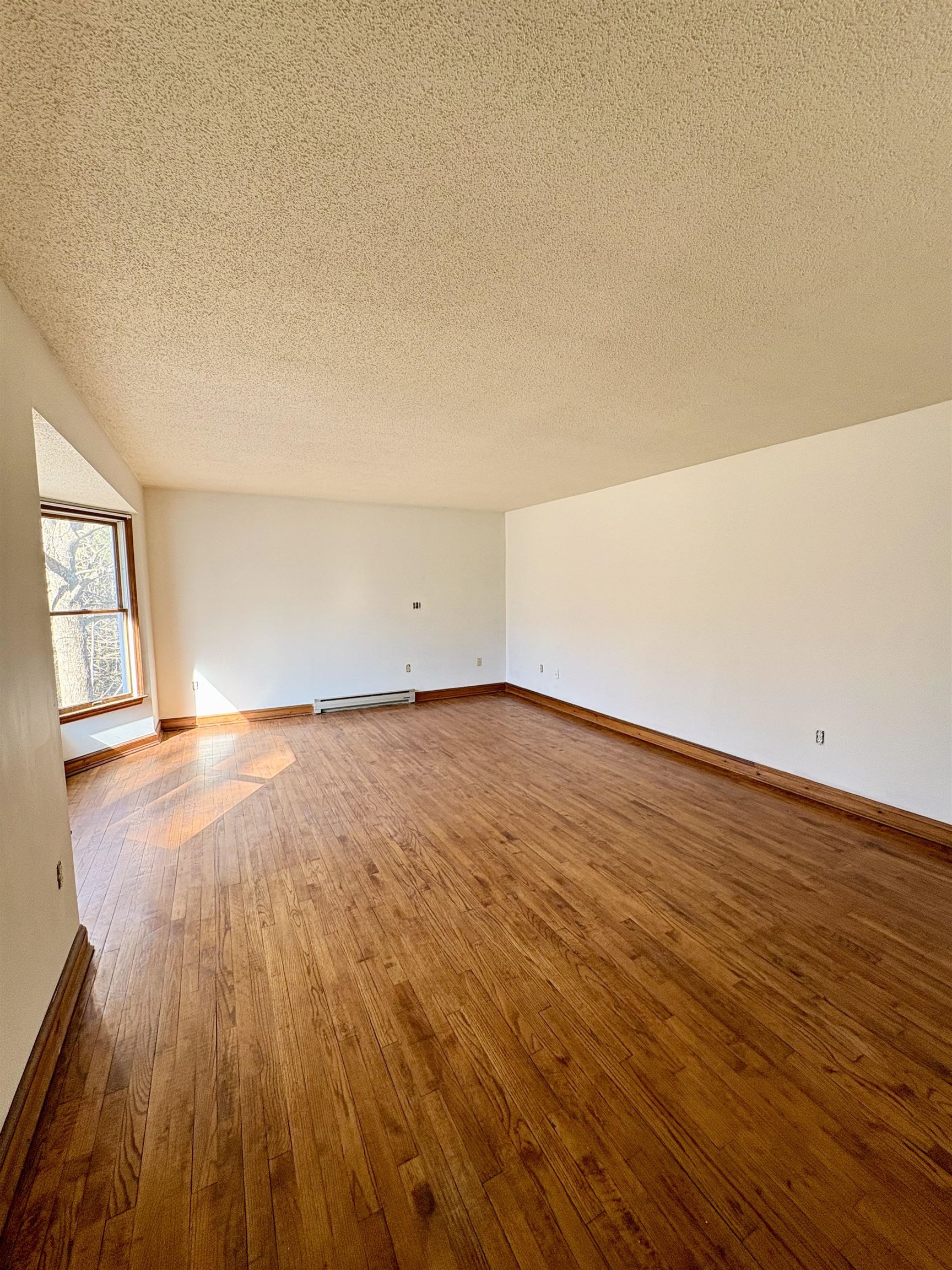 150 Swift Street South Burlington, VT 05403 - Photo 19 of 44