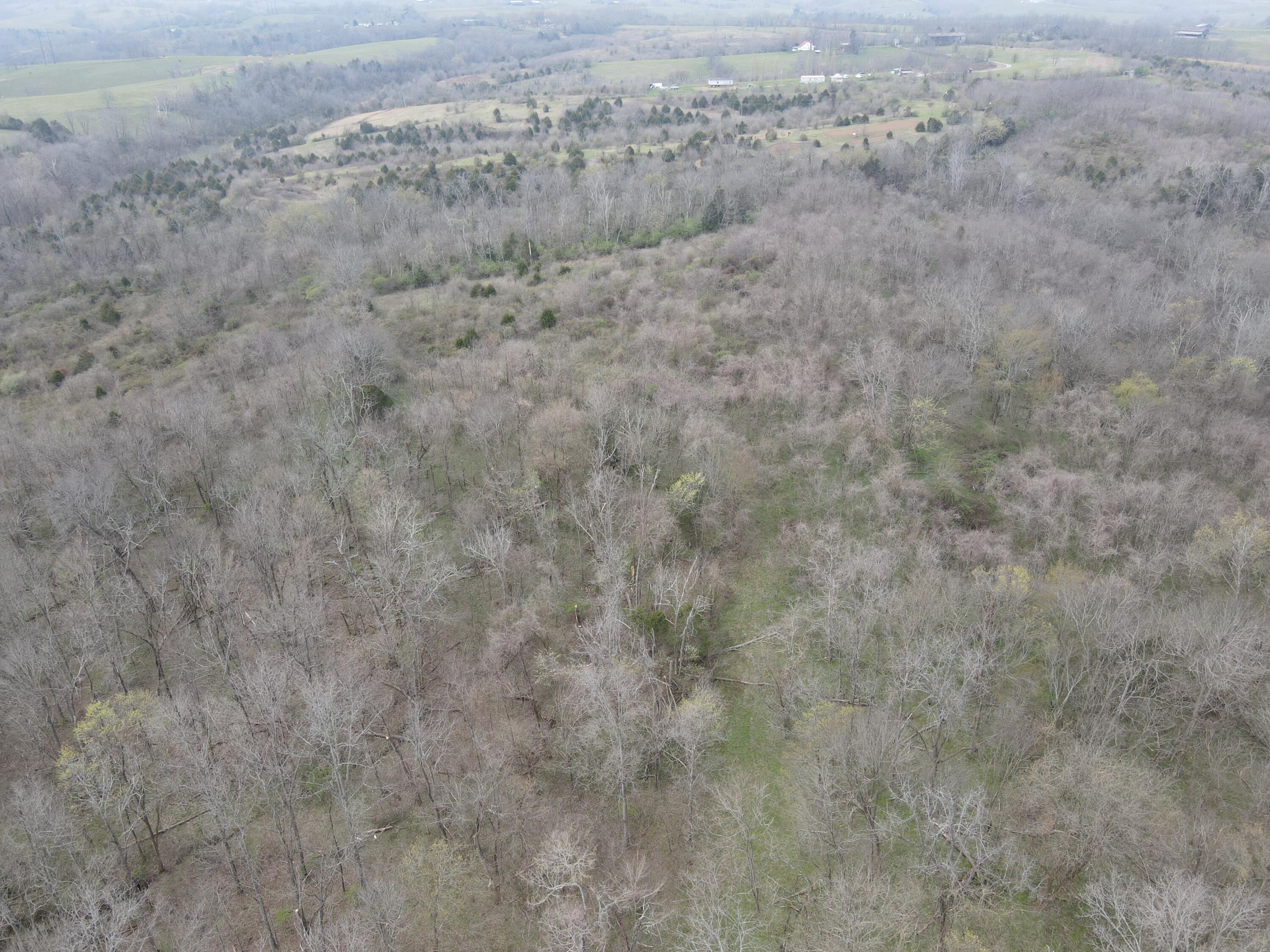 45 Jack Black Road Lancaster, KY 40444 - Photo 50 of 58 73C39CBA-418D-4575-8767-116C37196571