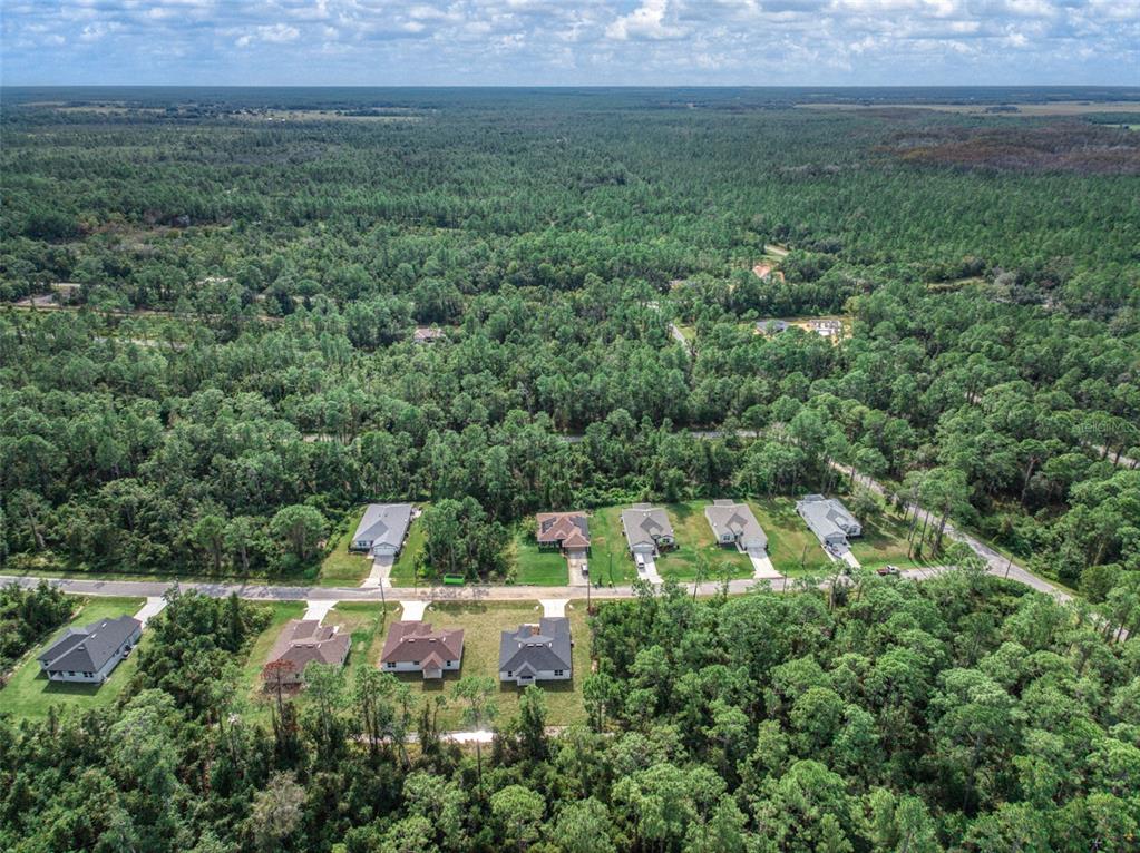 8736 Capilla Street Sebring, FL 33872 - Photo 57 of 60