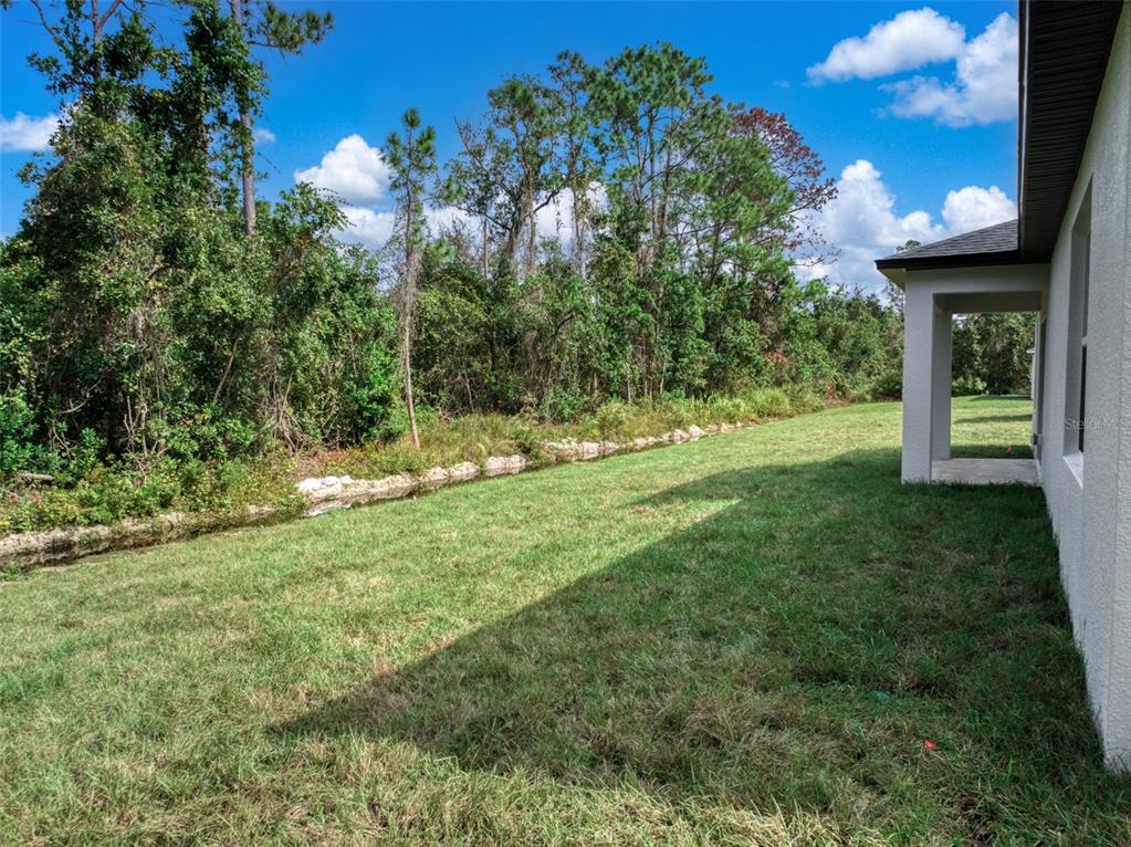 8736 Capilla Street Sebring, FL 33872 - Photo 7 of 60 a view of a backyard