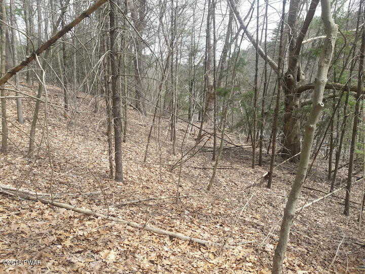 Christian Hill Road Milford, PA 18337 - Photo 21 of 22