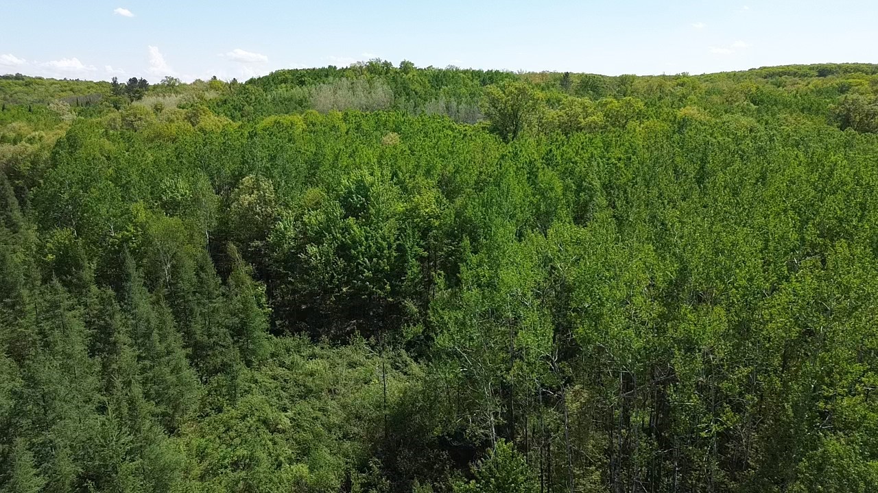 349 X 5th Avenue Shell Lake, WI 54871 - Photo 10 of 37