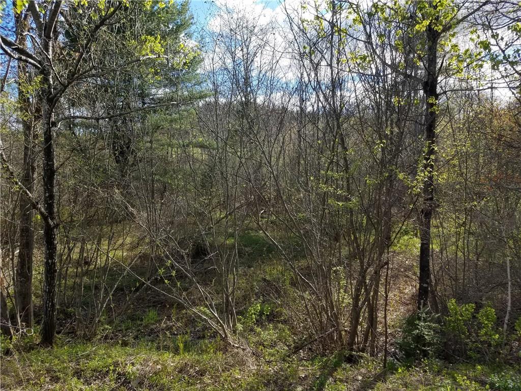 0 Quarry Road Limerick, ME 04048 - Photo 4 of 8 Photo