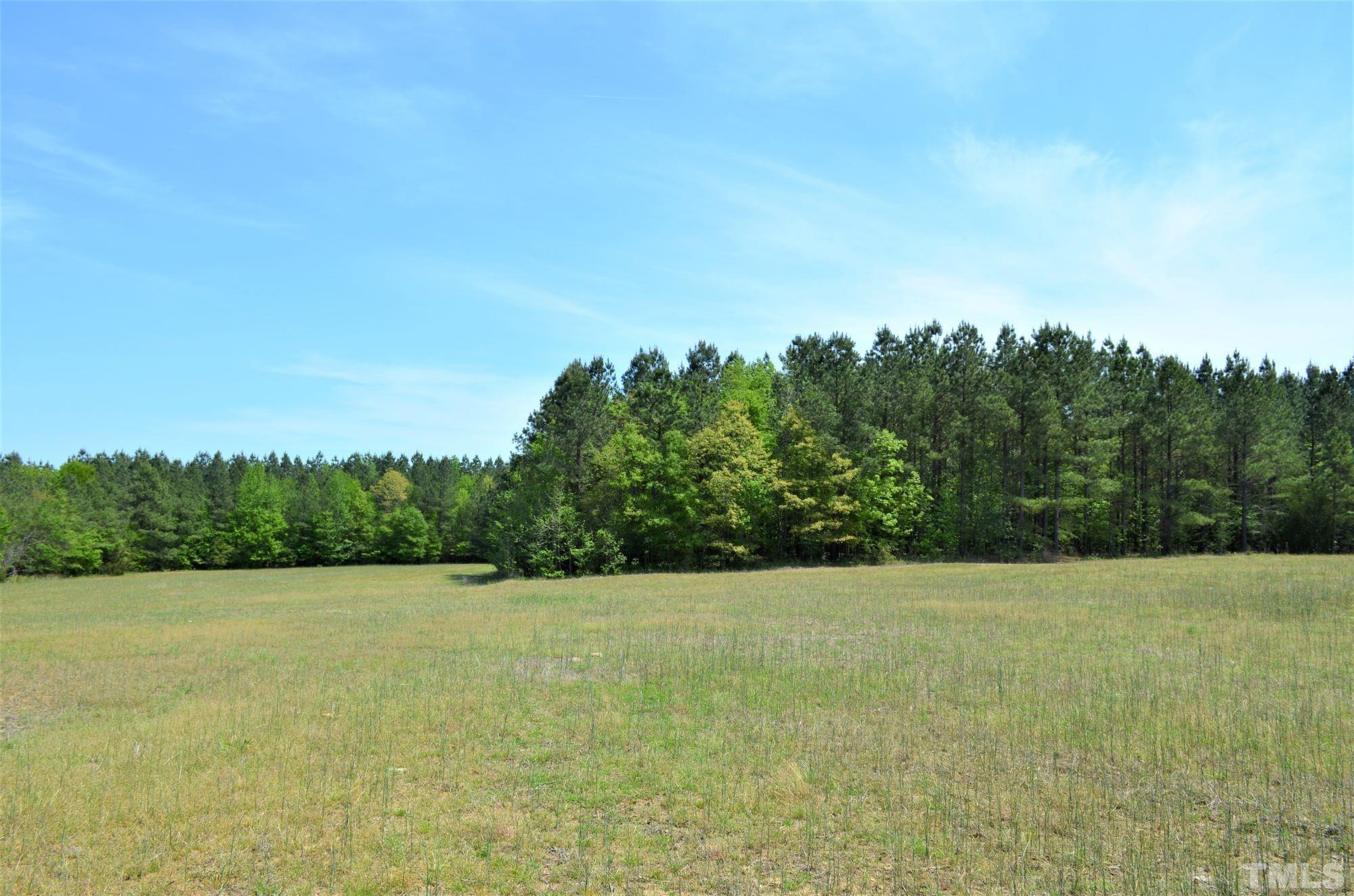 4170 Old Allensville Road Roxboro, NC 27574 - Photo 6 of 11 a view of a field with trees in the background