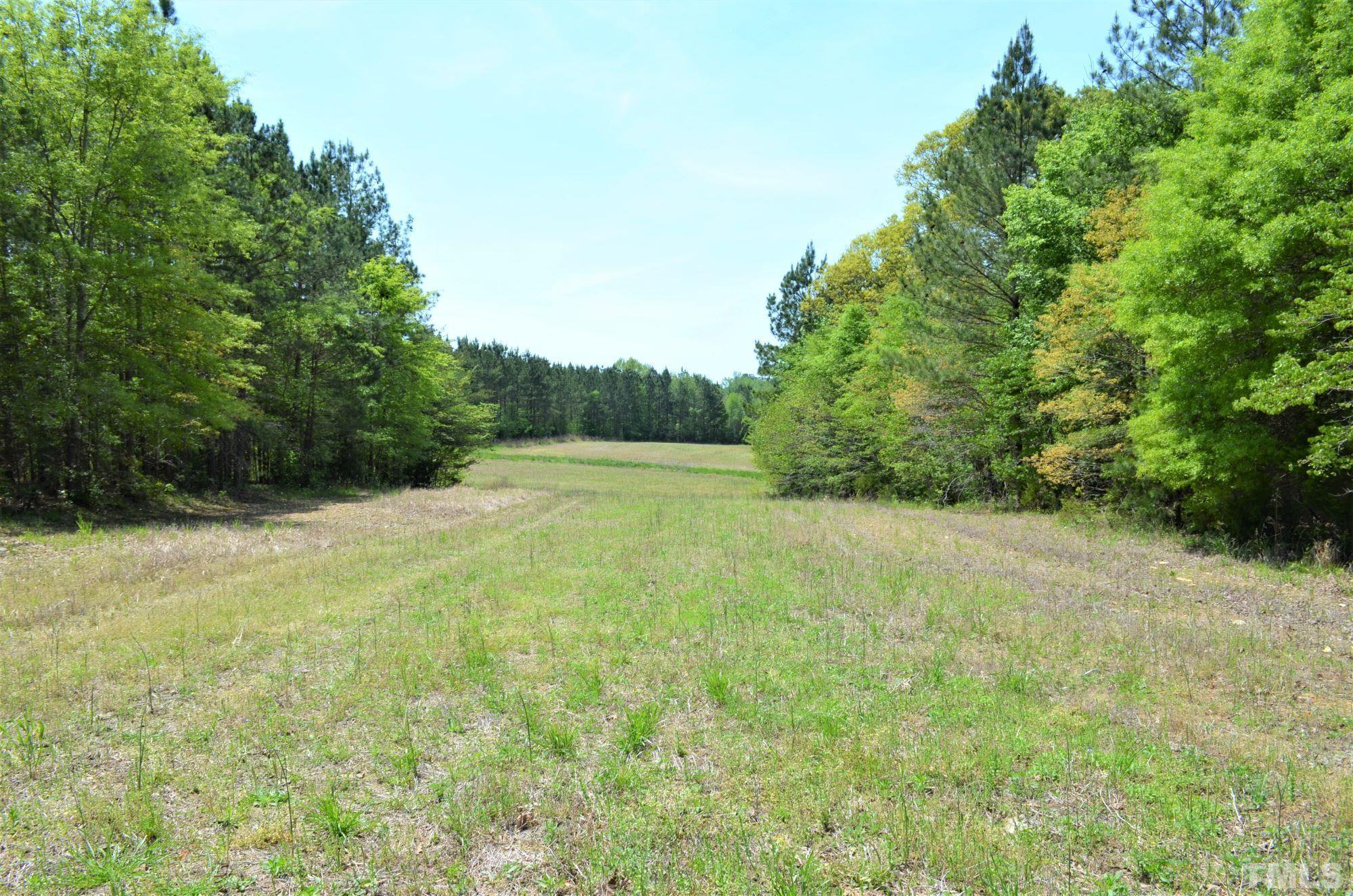4170 Old Allensville Road Roxboro, NC 27574 - Photo 7 of 11 a view of a yard with a tree
