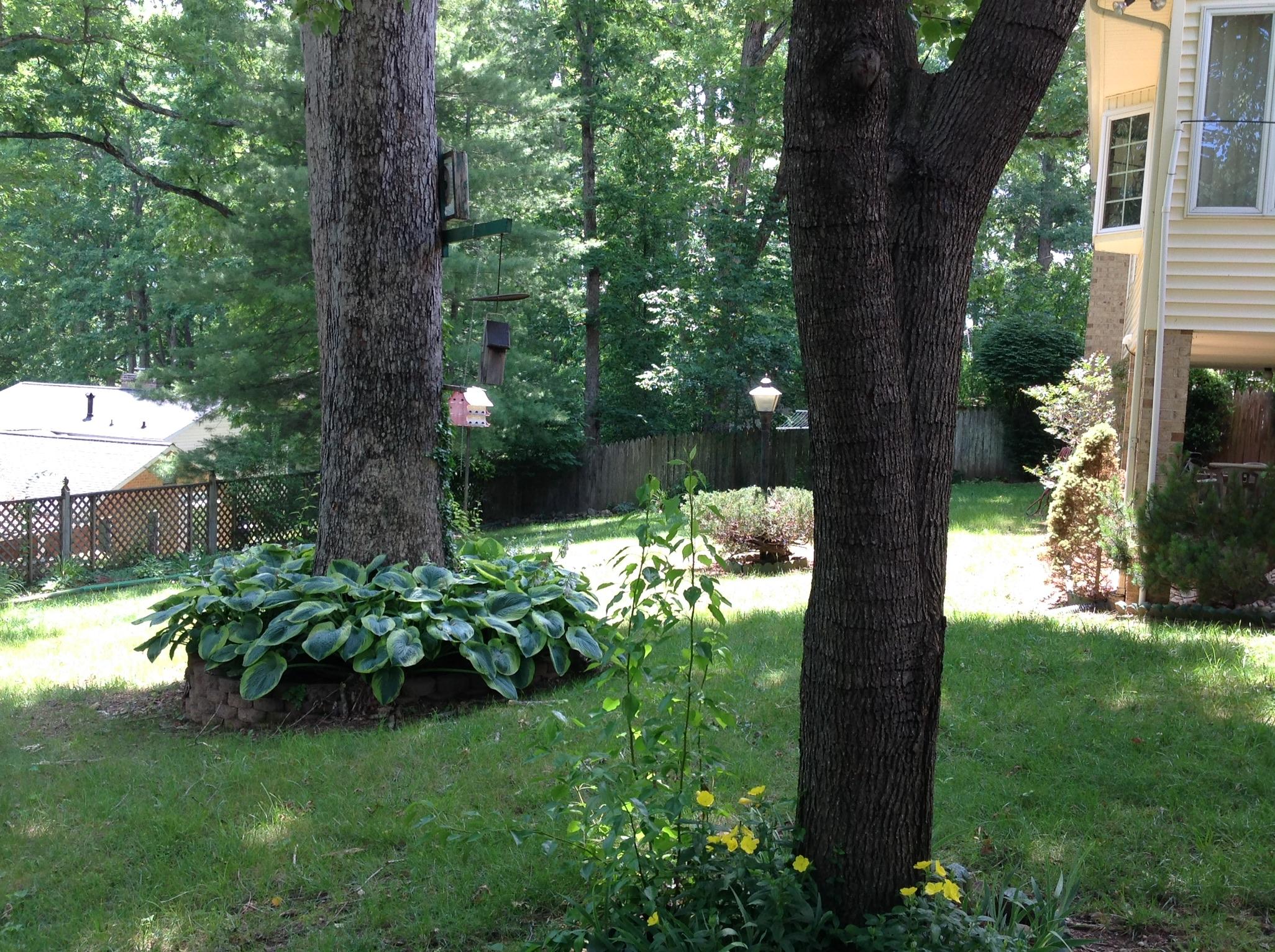 3616 Morning Dove Road Roanoke, VA 24018 - Photo 8 of 9 Backyard