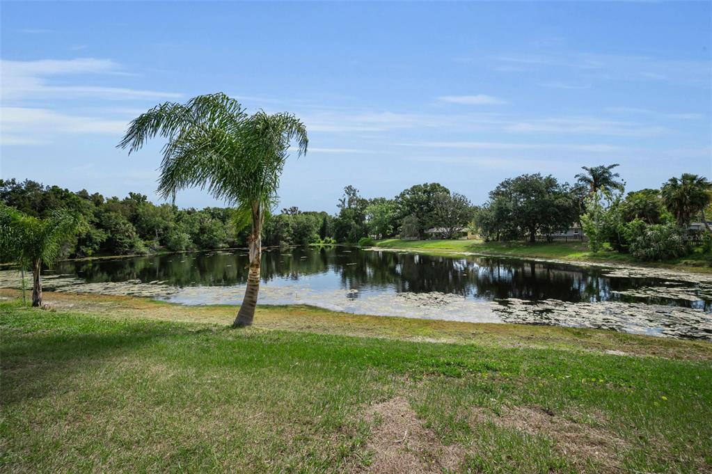 409 Graham Drive Clearwater, FL 33765 - Photo 1 of 75 a view of a lake with a park