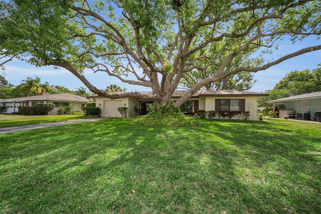 409 Graham Drive Clearwater, FL 33765 - Photo 12 of 75 a front view of a house with a garden