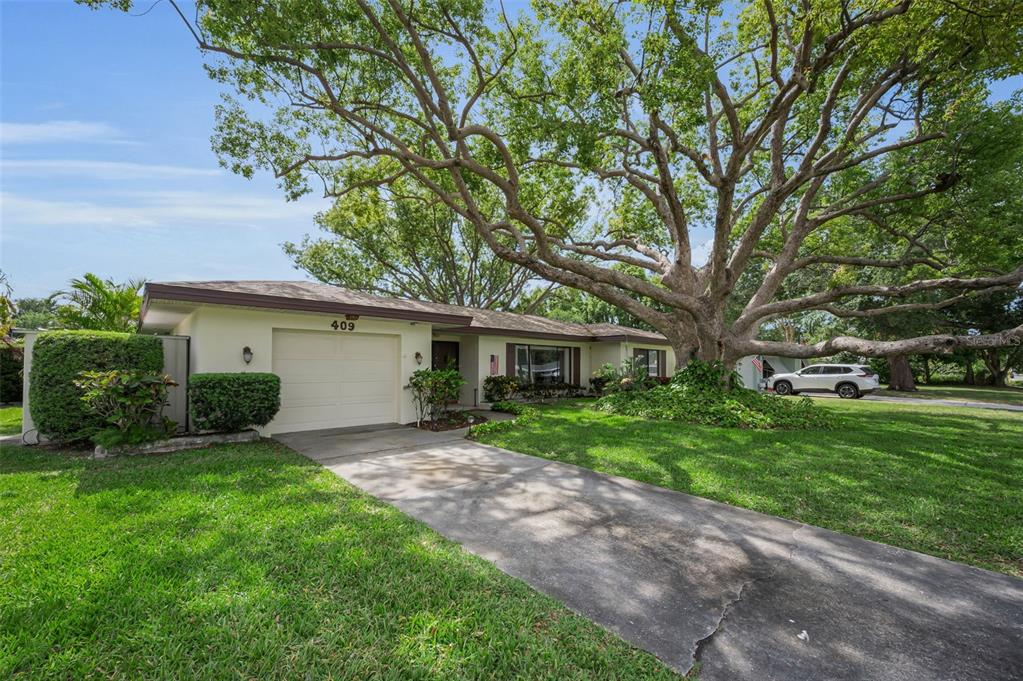 409 Graham Drive Clearwater, FL 33765 - Photo 14 of 75 a view of a house with a yard and plants