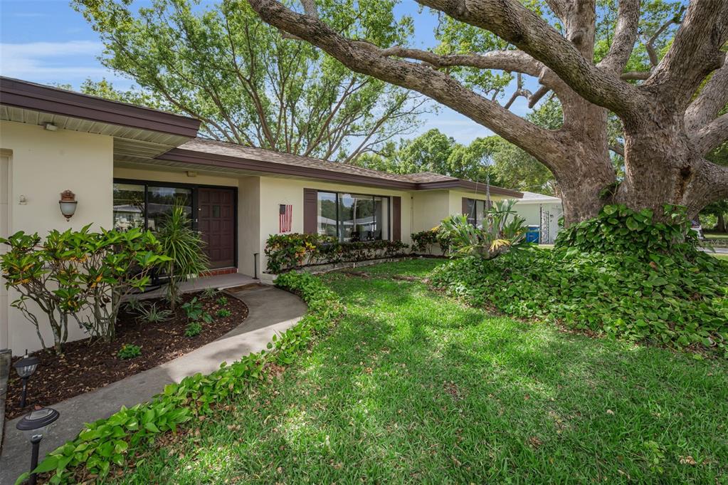 409 Graham Drive Clearwater, FL 33765 - Photo 16 of 75 a backyard of a house with outdoor seating and green space