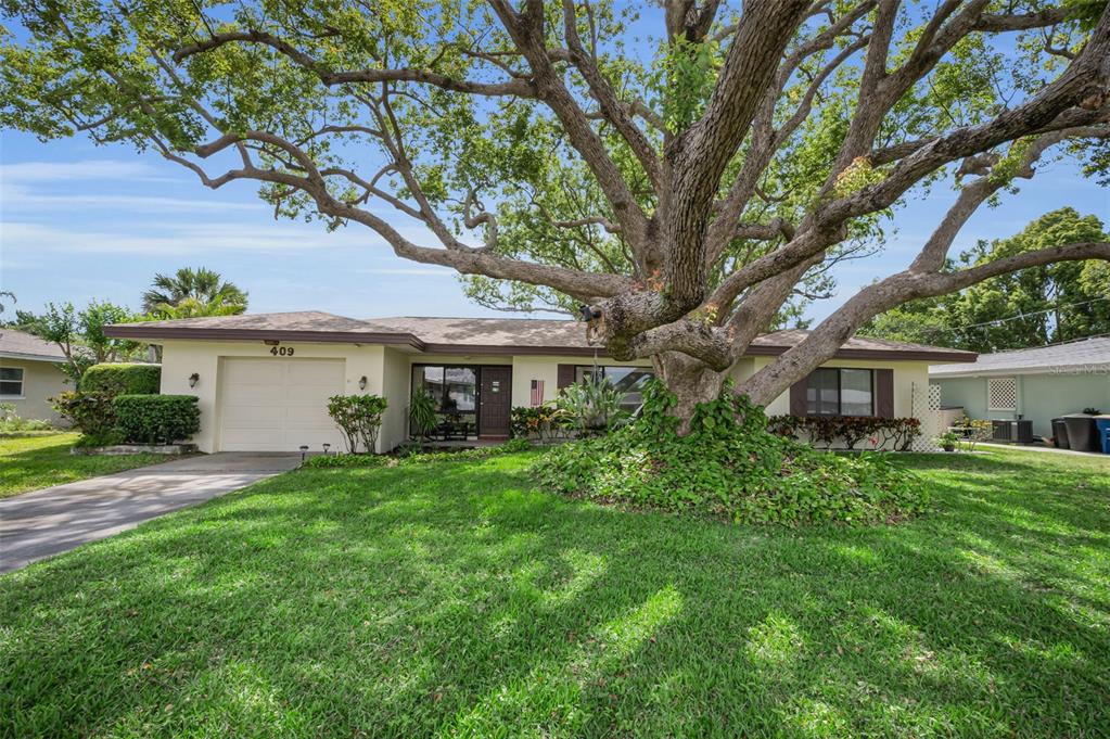409 Graham Drive Clearwater, FL 33765 - Photo 2 of 75 a view of a yard in front of a house with large tree