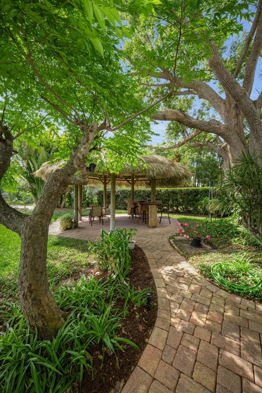 409 Graham Drive Clearwater, FL 33765 - Photo 55 of 75 a view of yard with green space