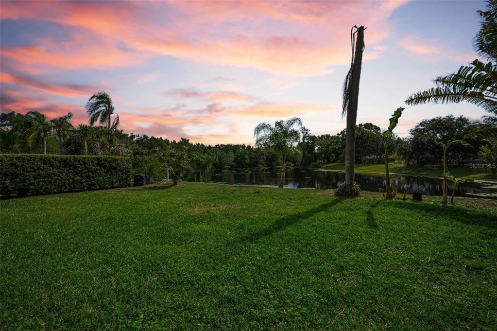409 Graham Drive Clearwater, FL 33765 - Photo 65 of 75 a view of a garden with a tree in the background