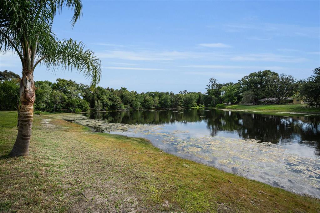 409 Graham Drive Clearwater, FL 33765 - Photo 67 of 75