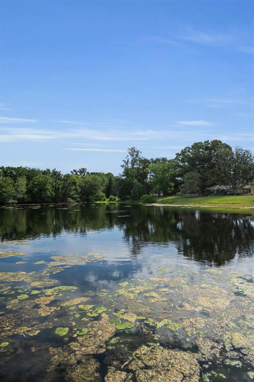 409 Graham Drive Clearwater, FL 33765 - Photo 68 of 75 a view of lake