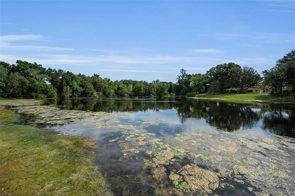 409 Graham Drive Clearwater, FL 33765 - Photo 69 of 75