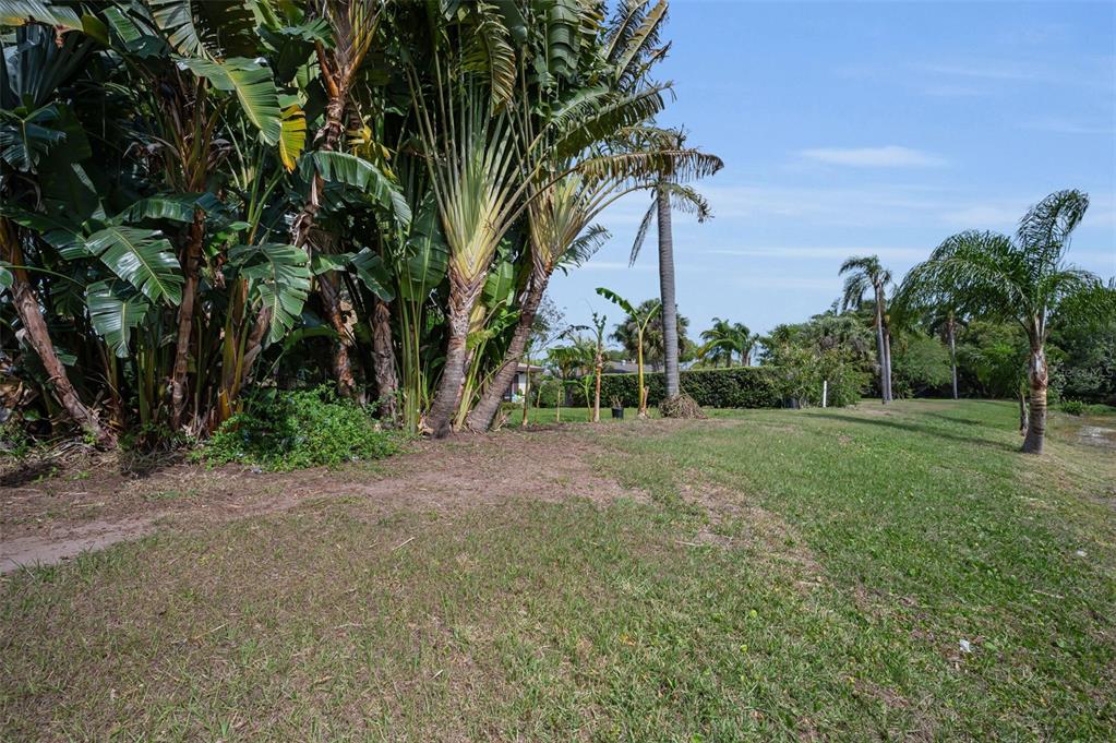 409 Graham Drive Clearwater, FL 33765 - Photo 70 of 75 a view of a field with plants and trees