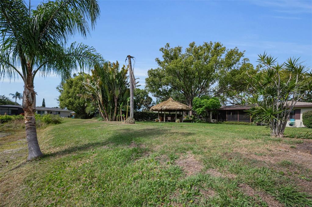 409 Graham Drive Clearwater, FL 33765 - Photo 71 of 75 a view of a backyard with palm trees