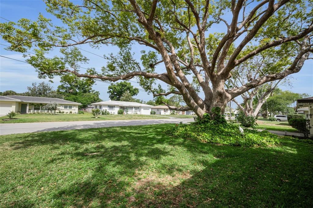 409 Graham Drive Clearwater, FL 33765 - Photo 9 of 75