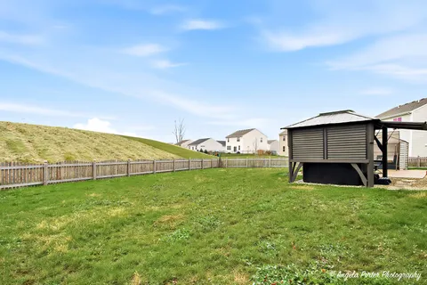 a view of a backyard with plants and large tree