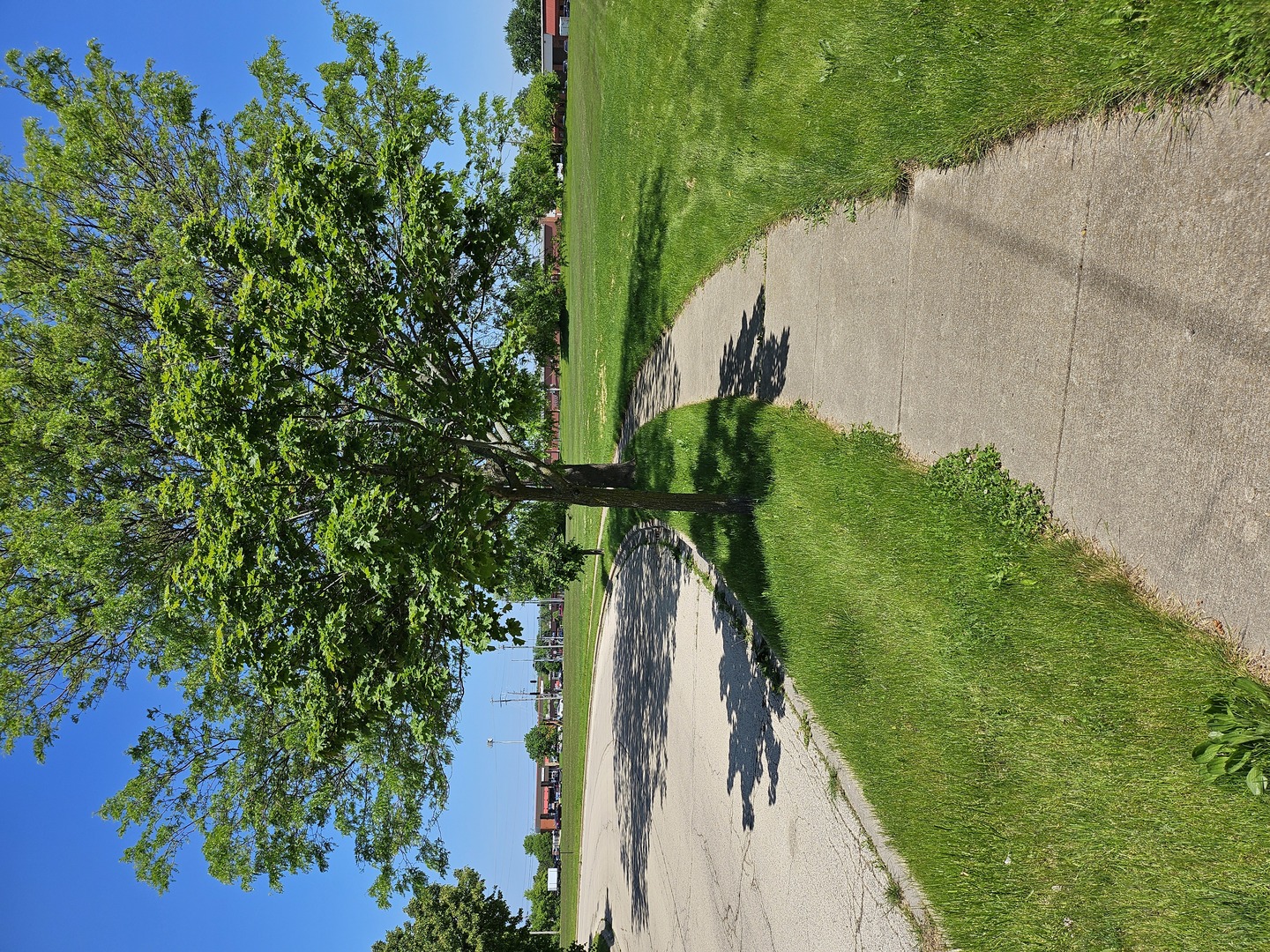 0 Kaper Drive Cary, IL 60013 - Photo 2 of 11