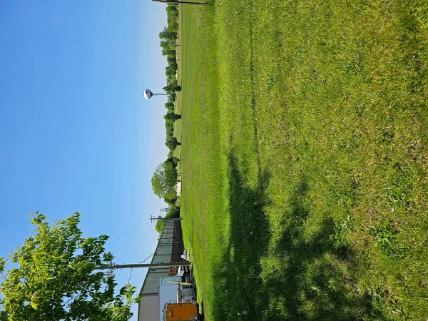 a view of a park with lots of green space