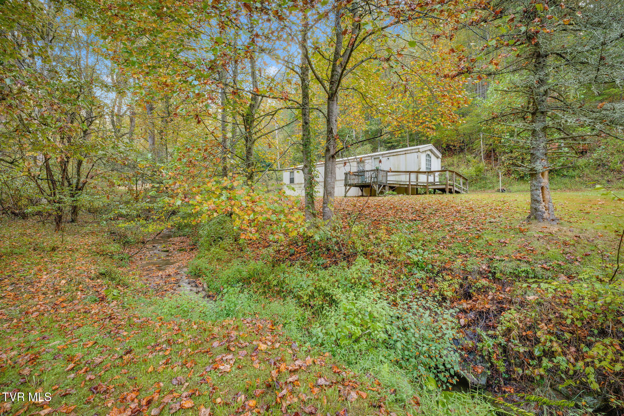 200 Ingram Branch Road Roan Mountain, TN 37687 - Photo 2 of 26 002