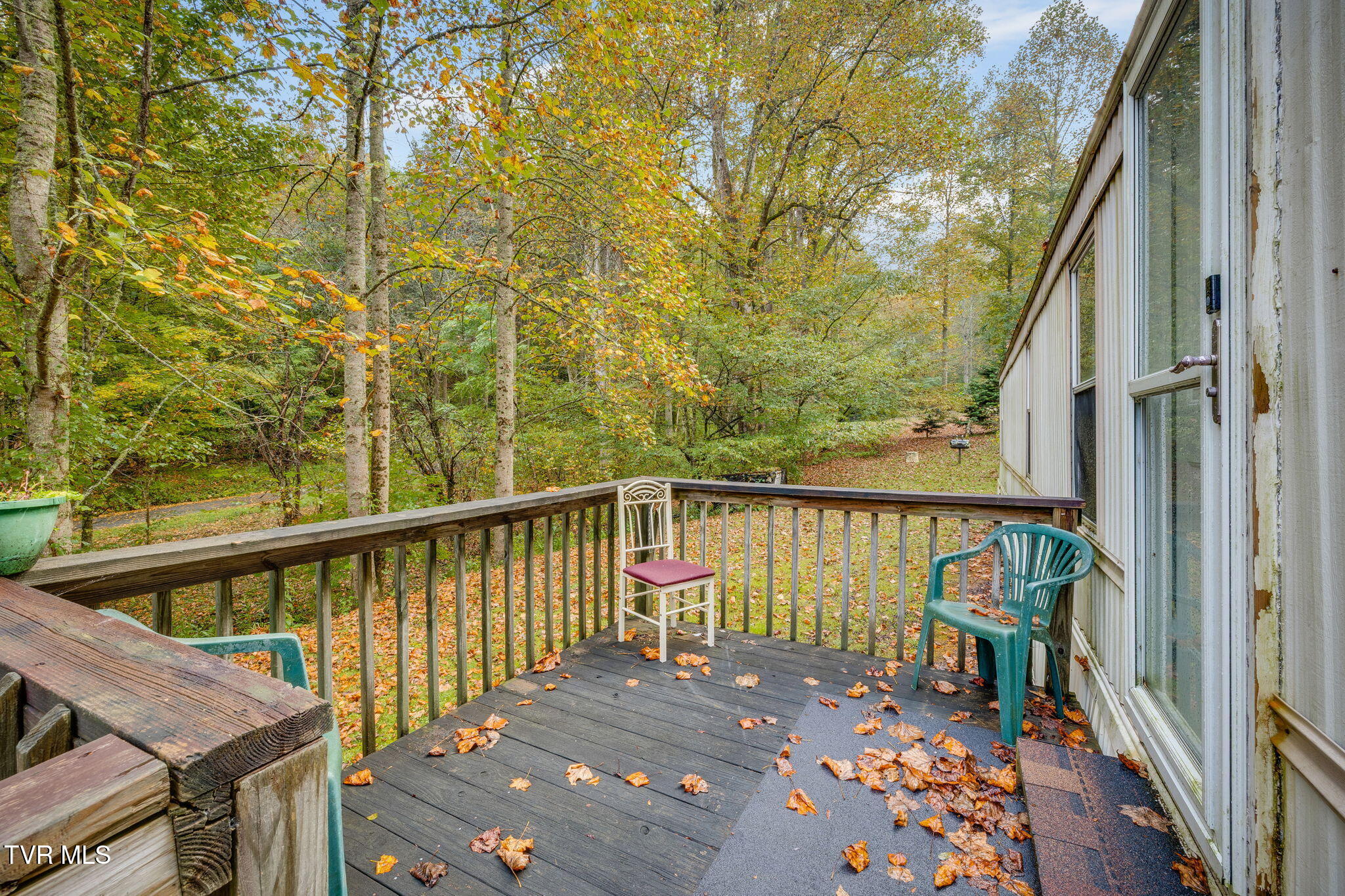 200 Ingram Branch Road Roan Mountain, TN 37687 - Photo 5 of 26 005