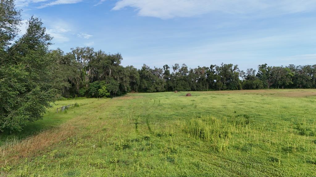Vacant 145th Road Live Oak, FL 32060 - Photo 24 of 42
