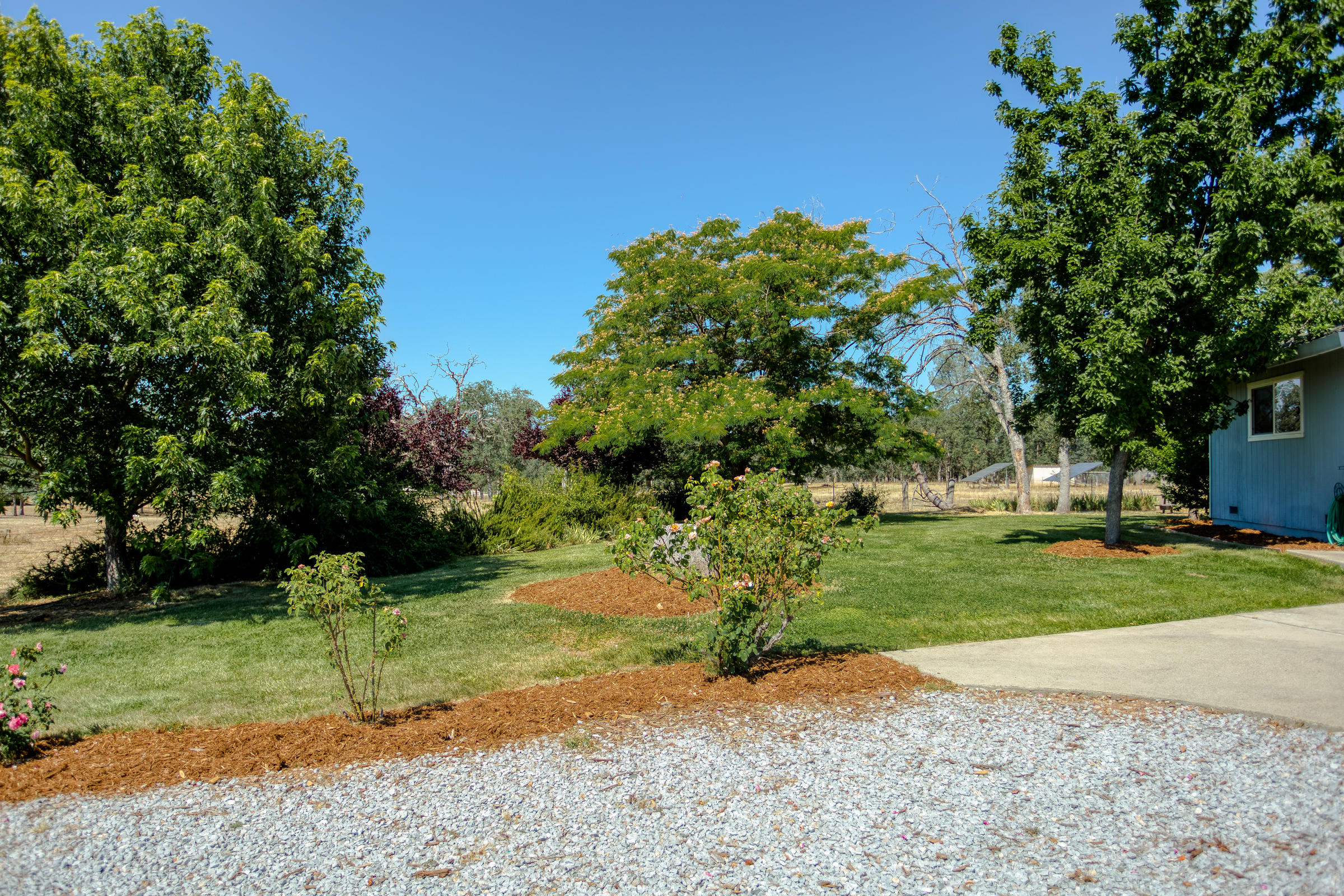 21442 Valley Oak Road Redding, CA 96003 - Photo 4 of 41 auto-sprinklers