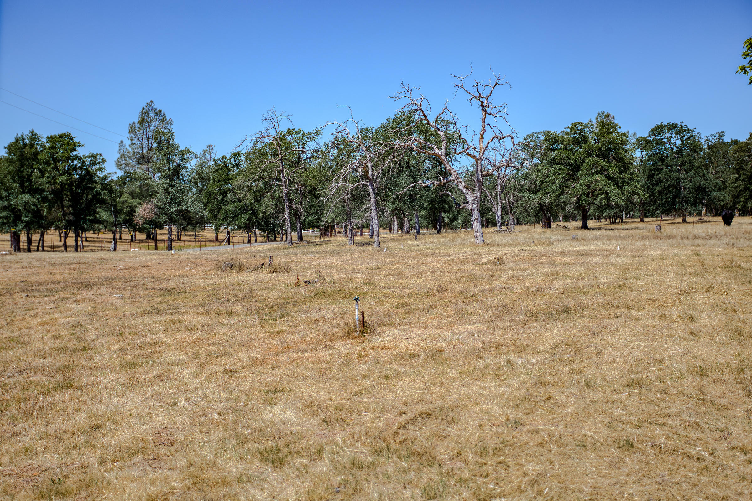 21442 Valley Oak Road Redding, CA 96003 - Photo 41 of 41 Much irrigated, cheap water on Ag meter