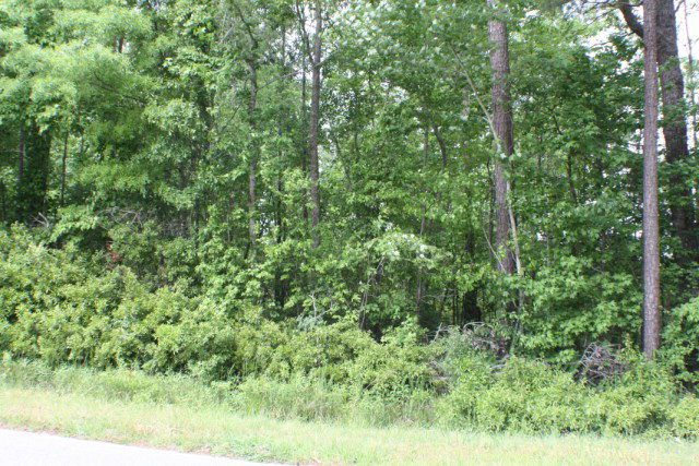 Lot B Lot B Road Chocowinity, NC 27817 - Photo 1 of 2 Primary Photo