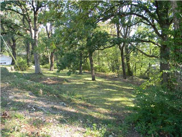 0 West Sunset Road Lookout Mountain, TN 37350 - Photo 1 of 12 Primary Photo