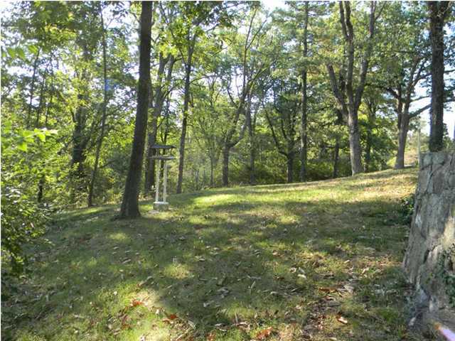 0 West Sunset Road Lookout Mountain, TN 37350 - Photo 4 of 12 Additional Photo