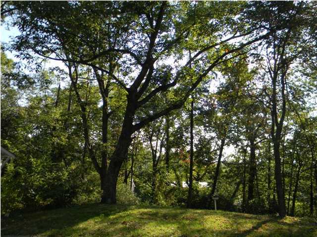 0 West Sunset Road Lookout Mountain, TN 37350 - Photo 5 of 12 Additional Photo