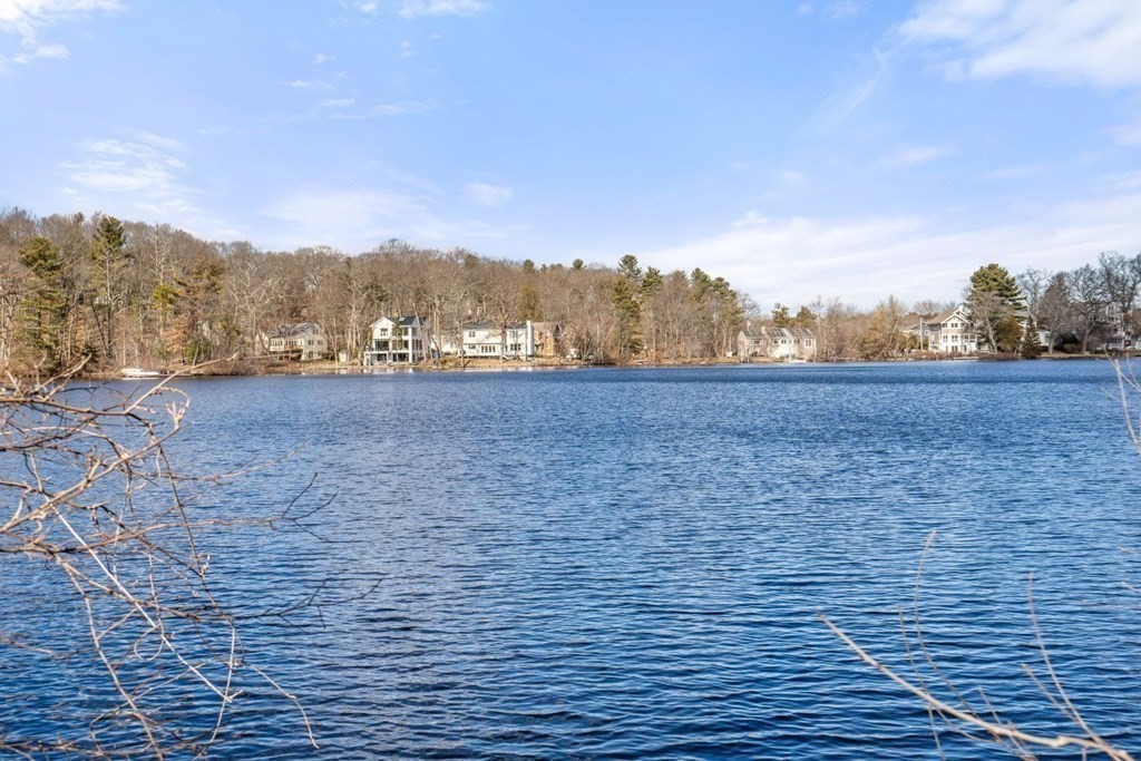43 College Road Wellesley, MA 02482 - Photo 18 of 22 Gallery Image 18