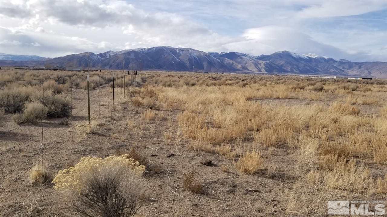 11 Hudson-Aurora Smith, NV 89430 - Photo 1 of 3 Photo 1