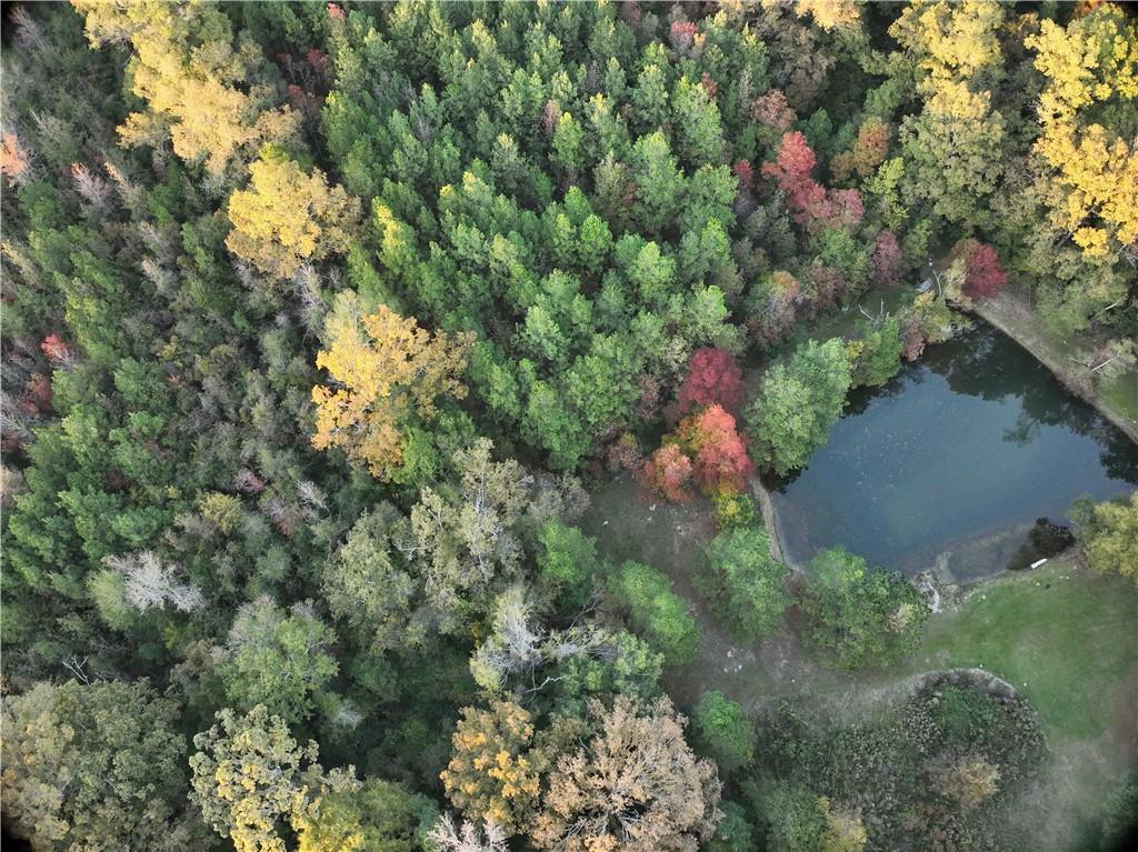 A Philadelphia Road Deville, LA 71328 - Photo 3 of 15